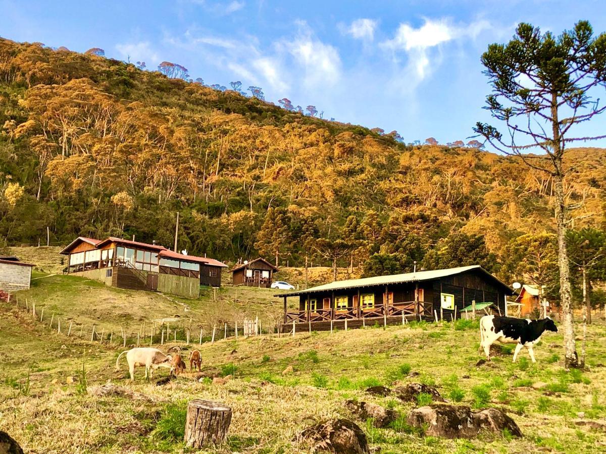 Fazenda Morro Das Torres 우루페마 외부 사진