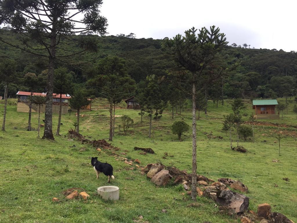 Fazenda Morro Das Torres 우루페마 외부 사진