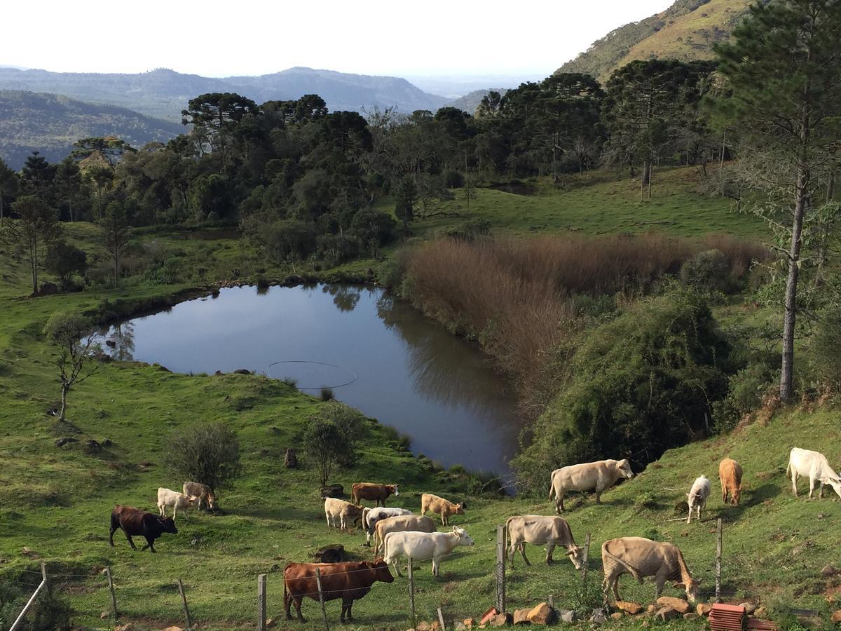 Fazenda Morro Das Torres 우루페마 외부 사진