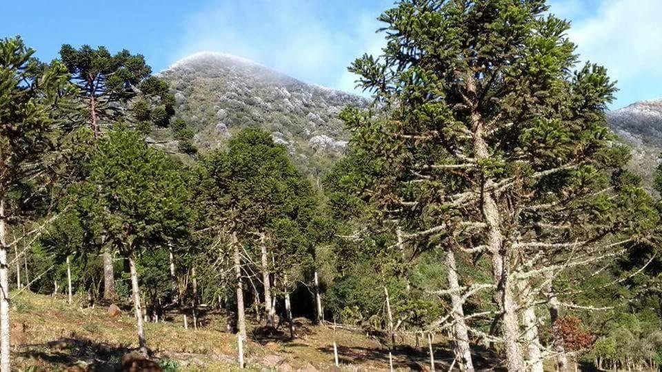 Fazenda Morro Das Torres 우루페마 외부 사진